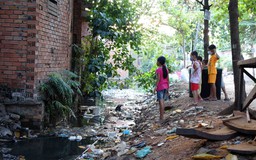 Lao đao sống chung với... muỗi