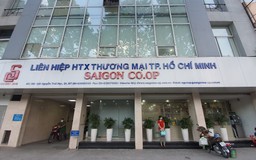 Sai phạm ở Saigon Co.op: Kiểm điểm nhiều cá nhân, tổ chức