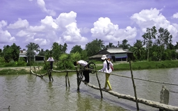 Phong vị miền Tây: Hai loại cầu ‘đặc sản’ vùng sông nước