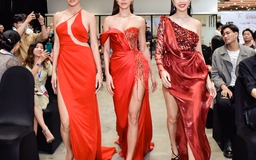 Ba mentor Miss Fitness Star Vietnam khoe dáng vóc gợi cảm và thần thái high fashion