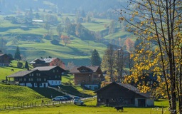 Kinh nghiệm xin visa Thụy Sĩ dễ đậu