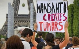 Hàng ngàn người biểu tình phản đối Monsanto và thực phẩm biến đổi gien