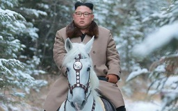 12 bạch mã Nga phục vụ chuyến cưỡi ngựa của lãnh đạo Kim Jong-un
