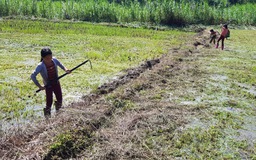 Lên rừng tiêm vắc xin bạch hầu