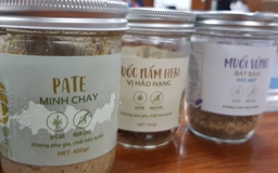 Thêm 3 ca nghi ngộ độc pate chay, 2 ca nặng hồi phục sau truyền thuốc giải