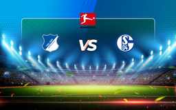 Trực tiếp bóng đá Hoffenheim vs Schalke, Bundesliga, 20:30 08/05/2021