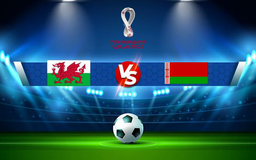 Trực tiếp bóng đá Wales vs Belarus, WC Europe, 02:45 14/11/2021
