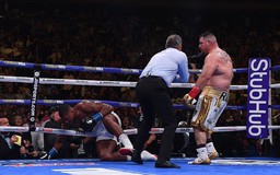 Võ sĩ Anthony Joshua bị hạ knock-out, quyền anh thế giới bị sốc