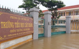 Bình Định: Ngập lụt vùng hạ lưu sông Kôn, hàng trăm học sinh nghỉ học