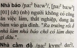 'Nhà báo là người không có công ăn việc làm': Chuyên gia ngôn ngữ học nói gì?