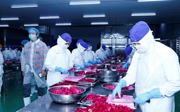 Mở đường cho rau, quả chế biến Việt vào thị trường Nhật