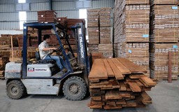 Cảnh báo kim ngạch nhập khẩu gỗ từ Trung Quốc tăng mạnh