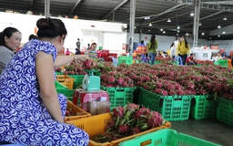 Thanh long, dừa tăng giá trở lại