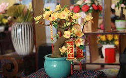 Cô gái dạy làm hoa mai giấy bonsai miễn phí cho chị em chưng Tết