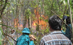 Khống chế đám cháy rừng rộng 30 ha ở Khu bảo tồn thiên nhiên Tà Kóu