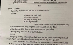 Tranh cãi 'nảy lửa' đề thi lớp 10: Cho điểm tuyệt đối cả câu đơn và ghép