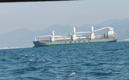 Bình Thuận: Thủy thủ 2 tàu chở cánh quạt điện gió cập cảng Vĩnh Tân không được lên bờ