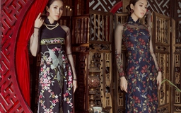 Hoa hậu Phan Thu Quyên tái xuất trong áo dài lấy cảm hứng từ 'Truyện Kiều'