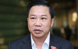 Đại biểu Lưu Bình Nhưỡng: 'Xử lý quan chức lớn chưa tương xứng với các đám cháy'