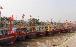 Tàu thuyền, ngư dân Thái Bình đã vào nơi tránh bão số 7 - Sarika an toàn