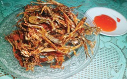 Khô nhái ngày mưa