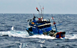 Tàu cá chết máy, 15 thuyền viên gặp nguy trên biển