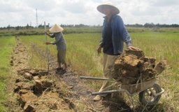 Chính quyền 'bật đèn xanh' cho dân đào đất ruộng