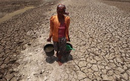 Nông dân trong thảm họa biến đổi khí hậu