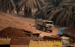 Malaysia tiếp tục đình chỉ khai thác bauxite