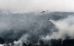 Hơn 100.000 người có thể đã chết do khói cháy rừng ở Indonesia