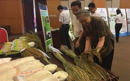 Nông nghiệp Việt bỏ quên ứng dụng năng lượng nguyên tử