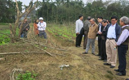 Nghiên cứu thêm nơi nguyên táng đại thi hào Nguyễn Du