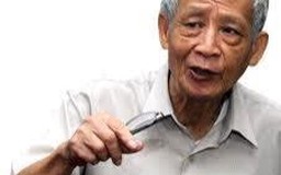 Nhà văn, GS Nguyễn Đăng Mạnh qua đời