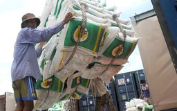 Xuất khẩu nông lâm thủy sản tăng hơn 30% trong 2 tháng đầu năm