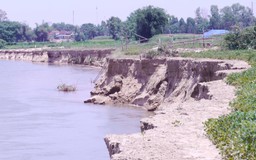 Mất đất canh tác vì khai thác cát sông Côn