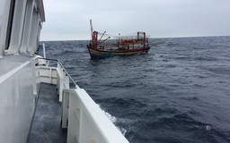 Tàu hàng gặp nạn trên biển Hà Tĩnh, 8 thủy thủ tự bơi vào bờ
