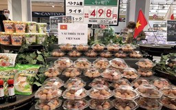 Thả tim cho trái vải Việt Nam, 2 tấn bán sạch trong 1 ngày tại Nhật