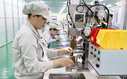 Phải có những “đại bàng quốc tịch Việt”