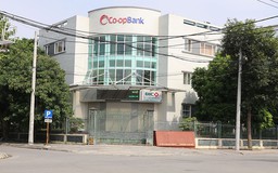 Vì sao Giám đốc Co-opbank Ninh Bình cùng 5 thuộc cấp bị khởi tố?