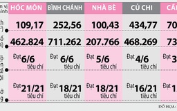 TP.HCM 'lên đời' 5 huyện: Tiền đâu nâng cấp đô thị ?