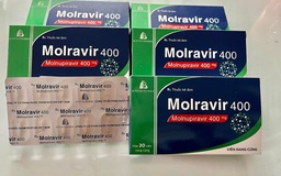 Để thuốc kháng virus Molnupiravir đến tay F0 kịp thời nhất