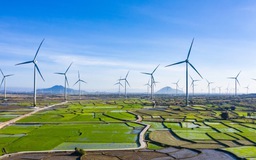 Quy hoạch điện 8 mới nhất: Năm 2045 điện sạch sẽ hơn 50%