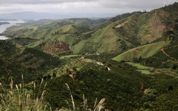 Vụ mất hơn 2.000 ha rừng ở Đắk Nông: Kiến nghị không xử lý kỷ luật cán bộ