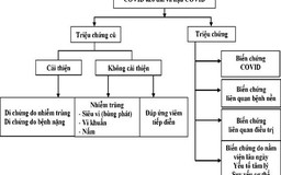 Điều trị xơ phổi ở bệnh nhân hậu Covid-19