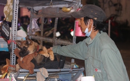 Người đàn ông nhặt ve chai kiếm sống vẫn nuôi 12 con chó vì thương