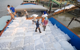 Giá gạo Việt tăng ngược đà giảm của thế giới