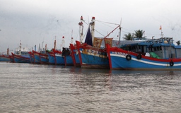 Thiếu trầm trọng lao động đi biển: Tàu cá tiền tỉ nằm bờ