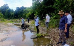 Hàng loạt trang trại chăn nuôi gây ô nhiễm