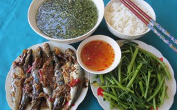 Hương vị quê hương: Cá nục kho nước mía