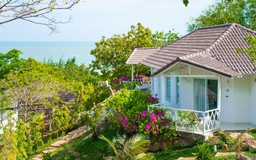 Fleur de Lys Resort & Spa Long Hải - Lựa chọn hoàn hảo cho chuyến du lịch M.I.C.E